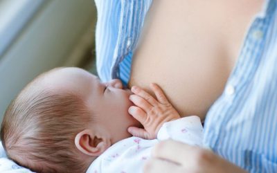 Kilka słów o fizjologii laktacji