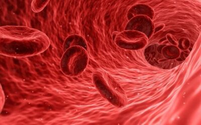 Konflikt serologiczny