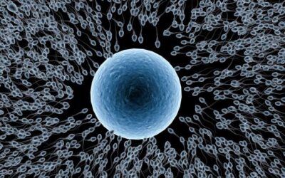 Przygotowanie do ciąży – jak zadbać o zdrowie dziecka?